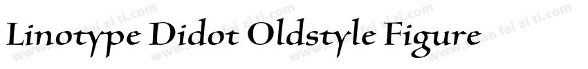 Linotype Didot Oldstyle Figures RomanI字体转换